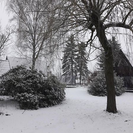 Eitzmanns Ferienhauser Dushorn Zewnętrze zdjęcie